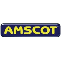 Group logo of Amscot