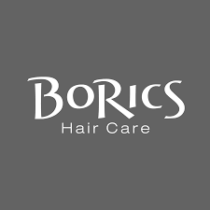 Group logo of BoRics