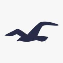 Group logo of Hollister