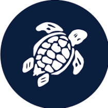 Group logo of Vilebrequin