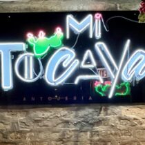 Group logo of Mi Tocaya