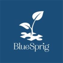 Group logo of BlueSprig